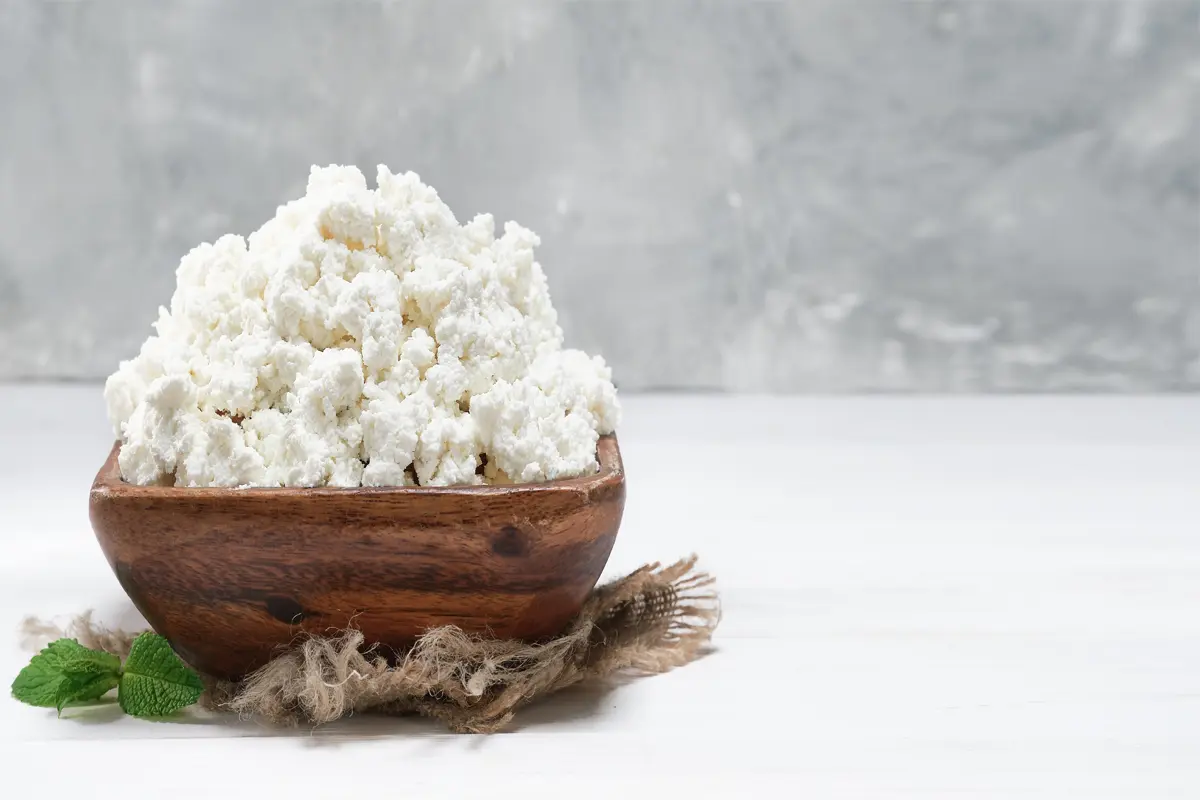 Cottage cheese recipes